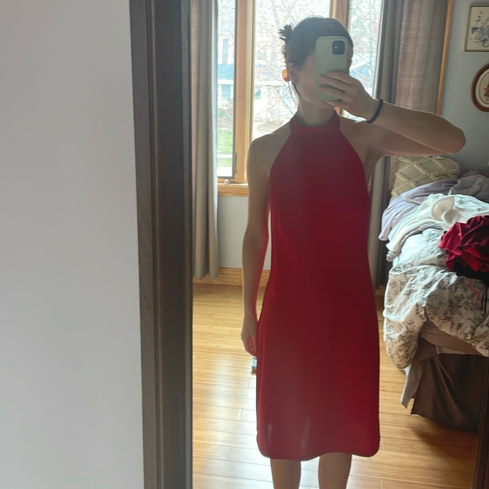 Vintage Express Dress